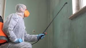  Cedar Ridge, CA Mold Removal & Remediation Pros