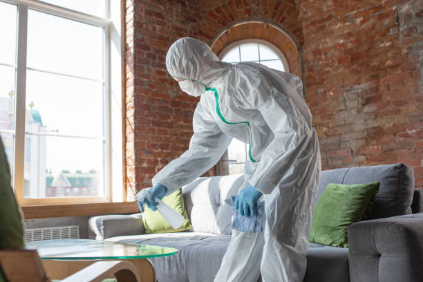 Best Asbestos and Lead Testing During Mold Inspection  in Cedar Ridge, CA