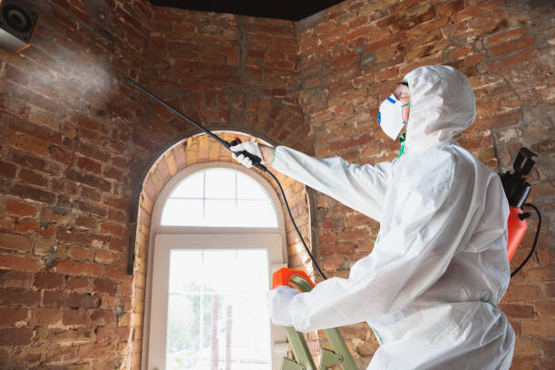 Best Industrial Mold Remediation  in Cedar Ridge, CA